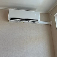 Зеленая роща, Tosot